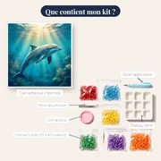 Dauphin sous les rayons dorés – contenu du kit