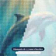 Dauphin sous les rayons dorés – gros plan des diamants