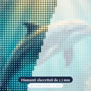 Delfino tra Raggi di Sole – primo piano dei diamanti
