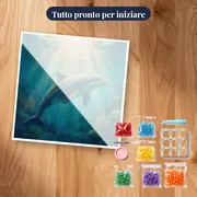Delfino tra Raggi di Sole – kit pronto per iniziare