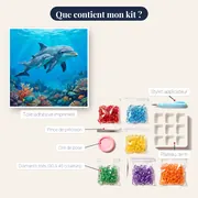 Dauphins sur récif corallien – contenu du kit