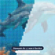 Dauphins sur récif corallien – gros plan des diamants