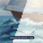 Delfini a prua del veliero – primo piano dei diamanti