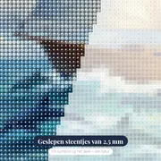 Dolfijnen dansen bij de boeg – close-up van de steentjes