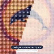Dolfijn in ring van zonsondergang – close-up van de steentjes