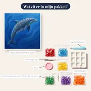 Dolfijn met mandalamotieven in diepblauw – inhoud van het pakket