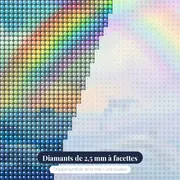 Dauphins bondissants sous double arc-en-ciel – gros plan des diamants