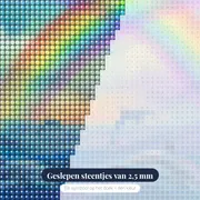 Zes dolfijnen onder dubbele regenboog – close-up van de steentjes
