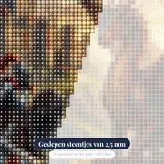 Ridder tegenover Draak bij Burcht – close-up van de steentjes