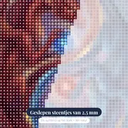 Rode en blauwe draken in yin-yangcirkel – close-up van de steentjes