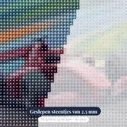 Rode racewagen in snelle bocht – close-up van de steentjes