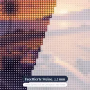 Monoposto am Küstenkurs im Abendlicht – Nahaufnahme der Steine