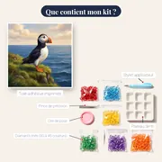 Macareux au bec coloré sur la falaise – contenu du kit