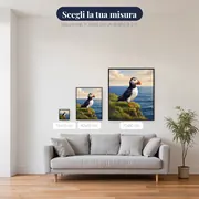 Pulcinella di mare sulla scogliera erbosa – misure disponibili