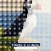 Macareux au bec coloré sur la falaise – gros plan des diamants