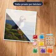 Pulcinella di mare sulla scogliera erbosa – kit pronto per iniziare