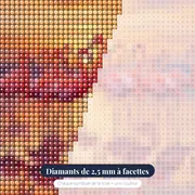 Flamants roses au reflet de l'aube – gros plan des diamants