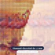 Fenicotteri Rosa allo Specchio del Lago – primo piano dei diamanti