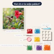 Kolibrie bij een rode bloem – inhoud van het pakket