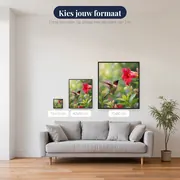 Kolibrie bij een rode bloem – beschikbare formaten