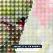 Colibri suspendu devant une fleur rouge – gros plan des diamants