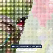 Colibrì in Volo su Fiore Rosso – primo piano dei diamanti