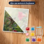 Kolibrie bij een rode bloem – pakket klaar om te beginnen