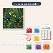 Twee toekans op een tak – inhoud van het pakket