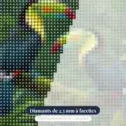 Toucans sur une Branche Tropicale – gros plan des diamants