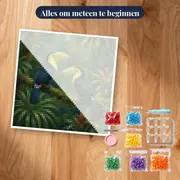 Twee toekans op een tak – pakket klaar om te beginnen