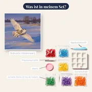 Schneeeule im Flug über verschneitem Feld – Inhalt des Sets