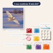 Civetta delle nevi in volo sul campo – contenuto del kit
