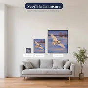 Civetta delle nevi in volo sul campo – misure disponibili