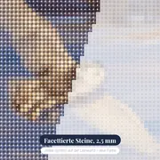 Schneeeule im Flug über verschneitem Feld – Nahaufnahme der Steine
