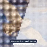 Chouette harfang en vol au-dessus des champs – gros plan des diamants