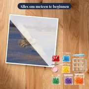Sneeuwuil boven winterveld – pakket klaar om te beginnen