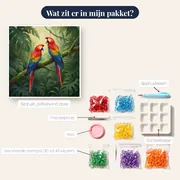 Rood-groene ara's in een weelderig oerwoud – inhoud van het pakket