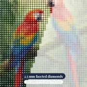 Scarlet Macaw Pair in Jungle – diamond close-up