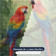 Deux aras écarlates dans la jungle – gros plan des diamants
