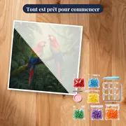 Deux aras écarlates dans la jungle – kit prêt à commencer