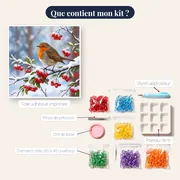 Rougegorge sur branche enneigée avec baies rouges – contenu du kit