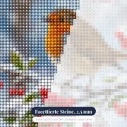 Rotkehlchen auf verschneitem Zweig mit Beeren – Nahaufnahme der Steine