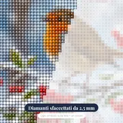 Pettirosso tra Bacche Rosse e Neve – primo piano dei diamanti