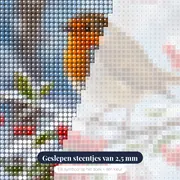 Roodborstje in de sneeuw met rode bessen – close-up van de steentjes