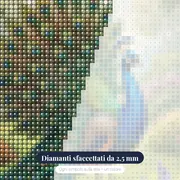 Pavone Reale con Piume Spiegate in Giardino – primo piano dei diamanti