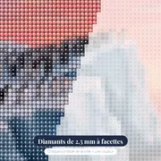 Colonie de manchots sur iceberg – gros plan des diamants
