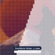 Samurai vor roter Sonne und Fuji – Nahaufnahme der Steine