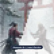 Duel de samouraïs sous la neige – gros plan des diamants