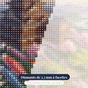 Château samouraï aux bannières de carpes – gros plan des diamants