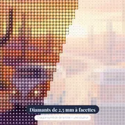Van, cactus et lever de soleil – gros plan des diamants